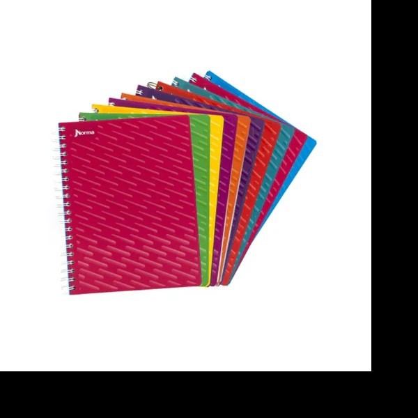 CUADERNO PROF. COLOR NORMA 520007 C7MM. ESP. 100H. PZA